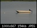 NJ2071AY-3-nj2071ay-3.jpg