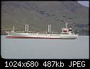 Click image for larger version

Name:	sasanqua.jpg
Views:	102
Size:	486.8 KB
ID:	5478