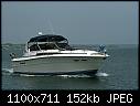 -pitbullvgalileeri_june2008a.jpg