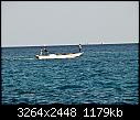 hurghada egypt - on the surface - hurghada 29-1-08 outboard engined fisherman.jpg (1/1)-hurghada-29-1-08-outboard-engined-fisherman.jpg