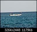 Click image for larger version

Name:	hurghada 29-1-08 outboard engined fisherman.jpg
Views:	88
Size:	1.15 MB
ID:	5816