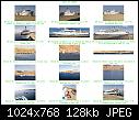 Click image for larger version

Name:	sharm el sheik 31-1-08 index_001.jpg
Views:	91
Size:	127.7 KB
ID:	5990