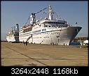 Last of the Red Sea ones - mv astor &amp; thomson celebration stern to stern at sharm el sheik 31-1-08.jpg (1/1)-mv-astor-thomson-celebration-stern-stern-sharm-el-sheik-31-1-08.jpg