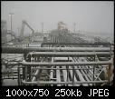 -sany0223.jpg