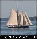 Bagheera-img_3142.jpg