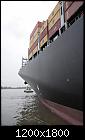 MSC BEATRICE 11-msc_beatrice11.jpg