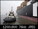 MSC BEATRICE 12-msc_beatrice12.jpg
