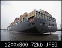MSC BEATRICE 14-msc_beatrice14.jpg