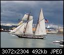 -tallshipstacoma2008__lynx.jpg