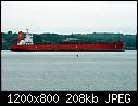 Click image for larger version

Name:	Imbondeiro_NewportRI_June2009.jpg
Views:	106
Size:	208.3 KB
ID:	8750