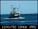 Natator- Narragansett RI July 2009 a-natator_narragansettri_july14_2009a.jpg