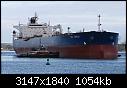 HS TOSCA-img_6816.jpg